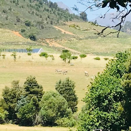 Winelands Guest Room Стеленбош Екстериор снимка